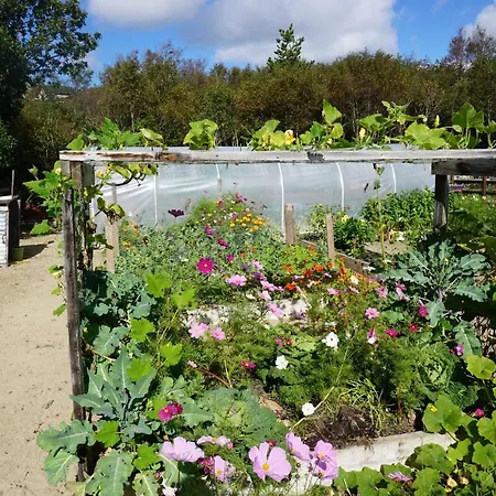 Fernwood Agroturismo Clifden