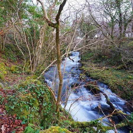 Gospodarstwo agroturystyczne Fernwood Clifden