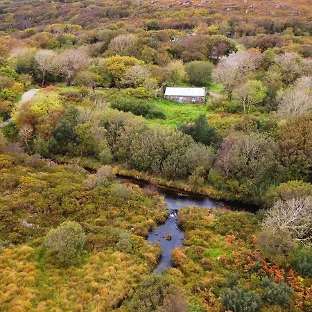 Fernwood * Clifden