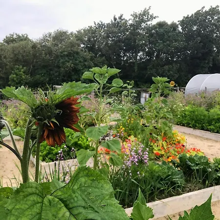 Fernwood Çiftlik konaklama