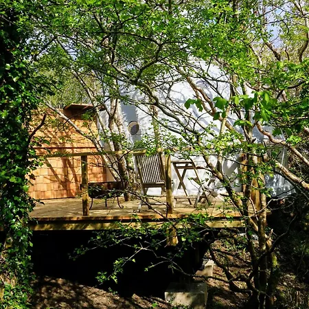 Fernwood بيت ضيافة كليفدين