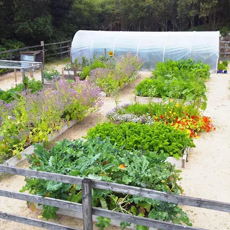 Çiftlik konaklama Fernwood Clifden