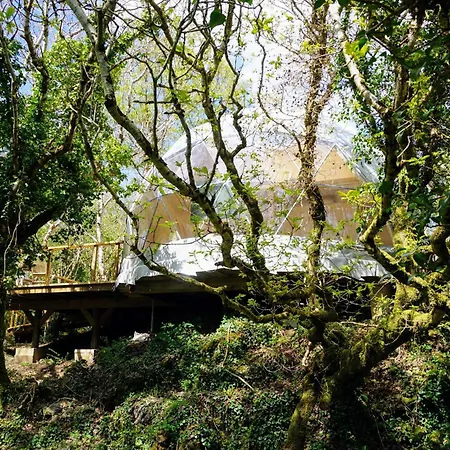 Fernwood * Clifden