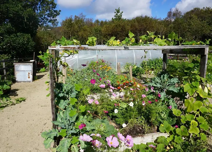 Fernwood 팜스테이 클리프덴