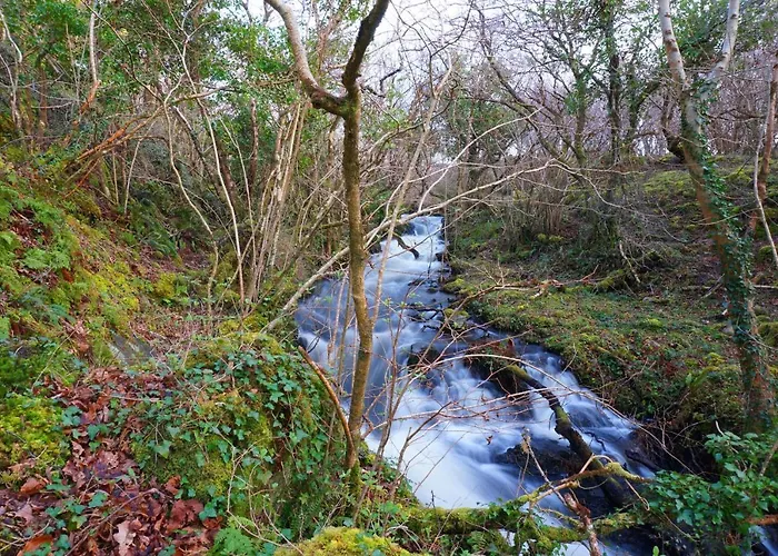 팜스테이 Fernwood 클리프덴