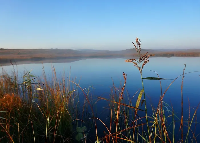 Fernwood 팜스테이 클리프덴