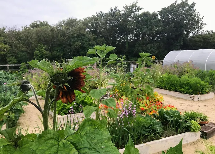 Fernwood 팜스테이