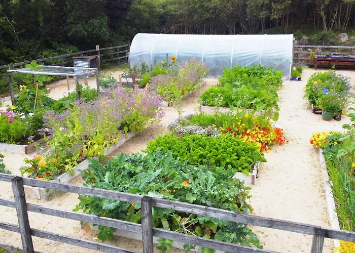 팜스테이 Fernwood 클리프덴